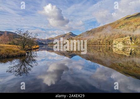 Reflexionen in Llyn Gwynant auf einem nebligen Morgen, glaslyn Tal, mit Yr Aran Berg im Hintergrund, Snowdonia National Park, North Wales, UK, November 2017. Stockfoto