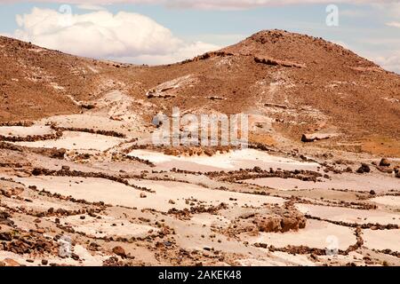 Feld Terrassen über einem Berberdorf im Hohen Atlas von Marokko, Nordafrika. April 2012. In den letzten Jahren, niederschlaggesamtmengen haben um rund 75 % als Folge des Klimawandels reduziert. Stockfoto