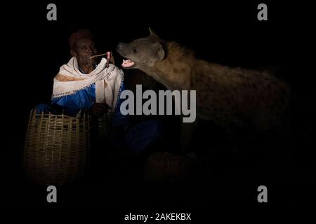 Man fressen in der Nacht, Harar, Äthiopien Tüpfelhyänen (Crocuta crocuta), Dezember 2017. Stockfoto