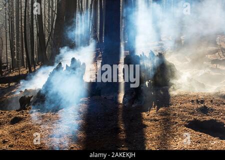 Der König Feuer, 97,717 Hektar des El Dorado National Forest, Kalifornien, USA verbrannt. Dieses Bild wurde während einer schweren Dürre, Waldbrände sind viel häufiger getroffen. Oktober 2014 Stockfoto