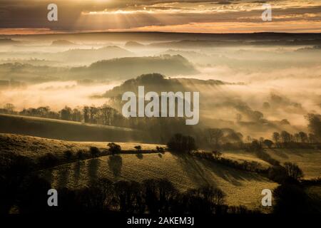 Blick vom Census's Hill, Bridport, Dorset, England, UK. April 2016. Stockfoto