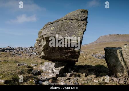 Ein glazialen Erratischen in der Nähe von norber Austwick, Yorkshire, Großbritannien. Dies ist einer der Norber Findlinge, wo Bausteine der älteren Silur Sandstein auf jüngere Karbon Kalkstein von einem sich zurückziehenden Gletscher gelassen wurden, am Ende der letzten Eiszeit. Die findlinge haben die zugrunde liegenden Kalkstein aus Erosion geschützt, Erstellen von Podesten. Februar 2018. Stockfoto