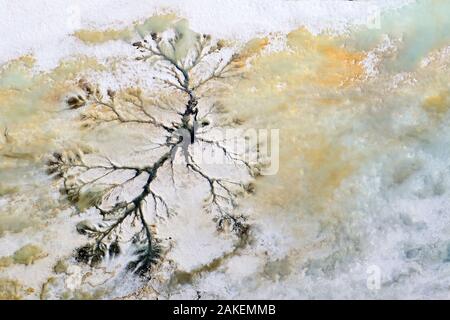 Luftaufnahme von geschmolzenem Eis rund um Geothermie Frühling, Putoransky State Nature Reserve, Putorana Plateau UNESCO Weltkulturerbe, Sibirien, Russland. Juni 2015 Stockfoto