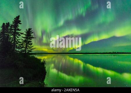 Aurora Borealis in Polar See, koniferen am Rand. In der Nähe von Great Slave Lake, Northwest Territories, Kanada. September 2018. Stockfoto