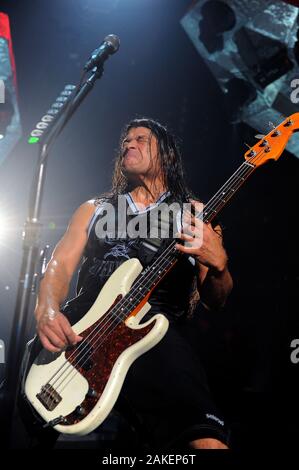 Mailand, Italien, 22. Mai 2009: Metallica World Magnetic Tour '09, live Konzert im Forum von Assago: Robert Trujillo am Bass Stockfoto
