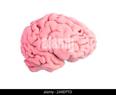 Menschliche Gehirn isoliert 3D-Rendering Stockfoto