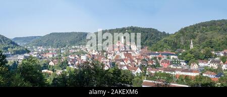 Antenne Stadtbild von touristischen historische Städtchen und grüne Tal, im Sommer Schuss helles Licht in Horb am Neckar, Baden Wuttenberg, Deutschland Stockfoto