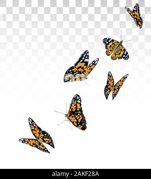 Orange schöne fliegende Schmetterlinge auf transparentem Hintergrund isoliert. Schmetterlinge in Bewegung. Vector Illustration. Stock Vektor