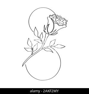 Rose eingeschrieben in Abbildung 8 in einer Linie gezeichnet. Isolierte Lager Vector Illustration Stock Vektor