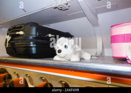 Childs weiches Spielzeug, ein Kuschelwolf, mit Handtaschen für Passagiere, im Flugzeug Luftflugzeug über Gepäckfach/Schließfach/Schließfach/Fach/Fächer (105) Stockfoto