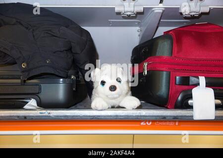 Childs weiches Spielzeug, ein Kuschelwolf, mit Handtaschen für Passagiere, im Flugzeug Luftflugzeug über Gepäckfach/Schließfach/Schließfach/Fach/Fächer (105) Stockfoto