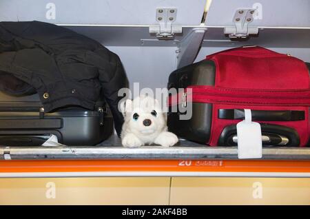 Childs weiches Spielzeug, ein Kuschelwolf, mit Handtaschen für Passagiere, im Flugzeug Luftflugzeug über Gepäckfach/Schließfach/Schließfach/Fach/Fächer (105) Stockfoto