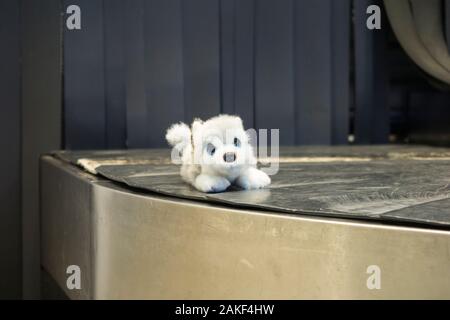 Weiches Spielzeug für Kinder, ein Baby Wolf Cub/Welpe/Puppe - möglicherweise verloren - Gepäckausgabe / Gepäckausgabe Carousel Transportband am Flughafen Genf. (115) Stockfoto