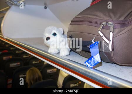 Childs weiches Spielzeug, ein knuddeliger Wolf, mit Handtaschen für Passagiere, im Flugzeug Luftflugzeug über Gepäckfach/Schließfach/Schließfach/Fach/Fächer. (105) Stockfoto