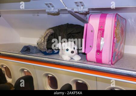 Childs weiches Spielzeug, ein knuddeliger Wolf, mit Handtaschen für Passagiere, im Flugzeug Luftflugzeug über Gepäckfach/Schließfach/Schließfach/Fach/Fächer. (105) Stockfoto