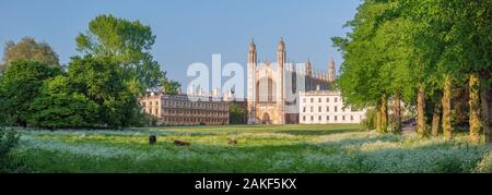 Großbritannien, England, Cambridgeshire, Cambridge, dem Rücken, King's College, King's College Chapel