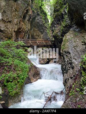 Wolfsklamm Wasserfall umgeben von Bäumen in Österreich. Stockfoto