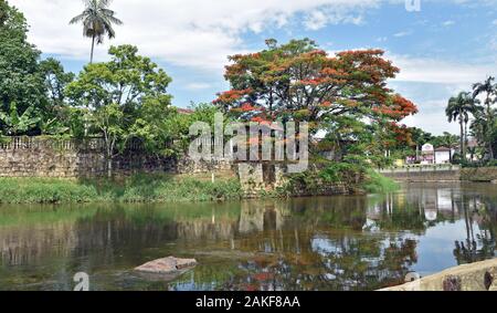 Fluss in morrentes Brasil in einem sonnigen Szene Stockfoto