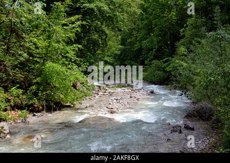 Wilder Fluss durch den Wald in Tirol Österreich Europa läuft. Stockfoto