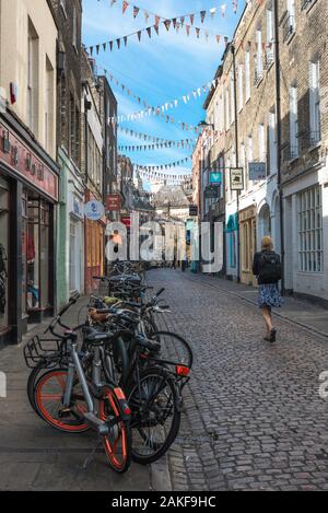 Green Street Cambridge, Rückansicht einer jungen Frau zu Fuß entlang der grünen Straße, einer beliebten Einkaufsstraße in der Universitätsstadt Cambridge, England Stockfoto