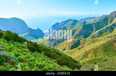 Grüne Berge in Teneriffa, Kanarische Inseln, Spanien Stockfoto