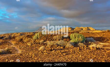Wüste und Berge bei Sonnenuntergang inTenerife Insel, der Kanaren. Panoramablick auf die Landschaft Stockfoto