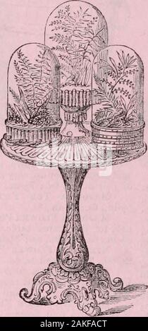 Barr & Sugden's spring Samen Katalog und Leitfaden für die Blume und Küche Garten/Barr & Sugden. . Alexakdra Expandinc; Floweh Topf deckt, Sd., U., ist. 3d, ist. r, d., ist. ML, 2 s, 2*-. Qd. ThcFCarc sehr wirksam, wenn der Topf abgedeckt ist withcolored Papier, oder einer der gewöhnlichen Papier Blumentopf Abdeckungen innen gelegt. Paper Flower Pot deckt gemustert oder uni, Os. zu 126. pro Dutzend. Diese letzteren können per Post geschickt werden. Etjstic Terra Cotta axd EiRrscAx PlantOR Farn Fälle, mit Glas, sind thesubjects der Abbildung oben. Wir haben diese jedoch an Zink und im Korb - Arbeit, elegante Stockfoto