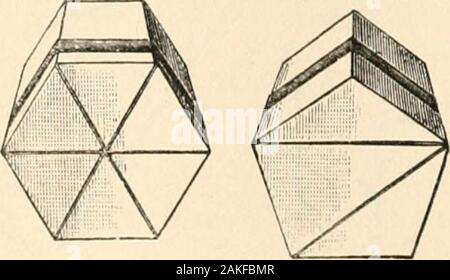 Schule: Eine monatliche Aufzeichnung der pädagogische Gedanke und Fortschritt. Abb. 3. quadratische Prisma, die beiden dreieckigen Prismen. wird es keine Schwierigkeiten bei der Festlegung der Mehr generalstatement, daß die Lautstärke aller regelmäßigen Prisma (einschließlich der Zylinder) = Bereich des Ende x vertikale Höhe. m 3 Pyramiden = ich Prisma (wenn der gleichen Ende und Höhe). • werden brokeninto werden kann. Jede Pyramide = entsprechende Prisma = J Bereich Ende durch vertikale Höhe. Diese Modelle sind durch das Ausfüllen der Pyramide mit wateror feinen Sand und Diagnose verwendet wird, in jedem Fall, wie man das Prisma manytimes größer ist als die Pyramide. Abb. 4.- Fünf- und Hexago Stockfoto