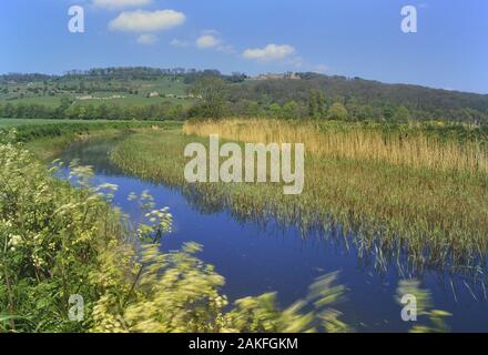 Portus Lemanis (Stutfall Schloss) und Lympne Castle, Kent, England, Großbritannien Stockfoto