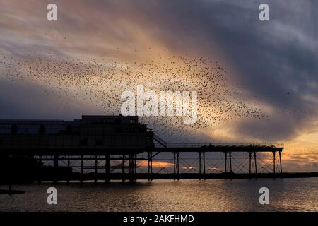 Starling murmuration über die Pier in Aberystwyth Stockfoto