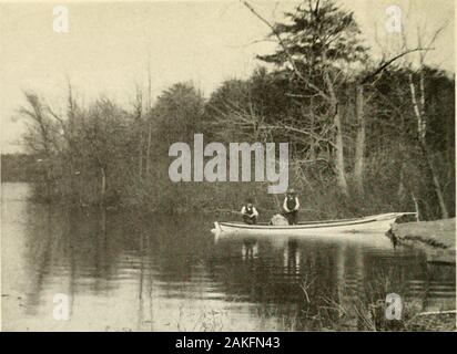 Delaware und dem östlichen Ufer; einige Aspekte einer Halbinsel angenehm und Geliebten. SPIUNC; Ochsen DAS ÖSTLICHE UFER Stockfoto