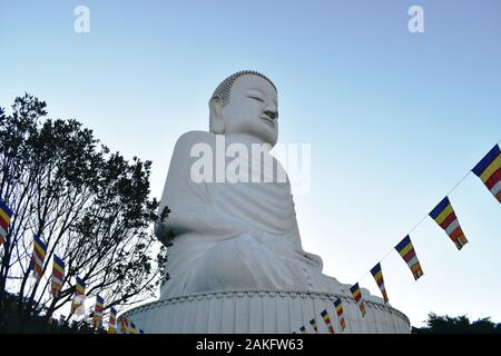 Danang Vietnam Januar 5, 2020: Big White Buddha auf den Berg an Ba Na hills Sehenswürdigkeiten in Vietnam. Stockfoto