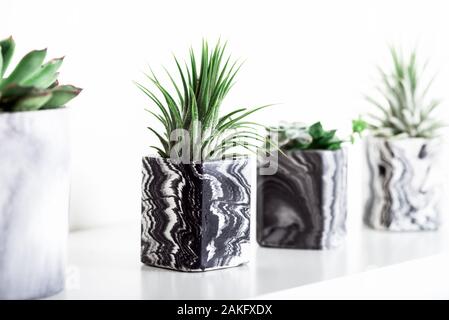 Sammlung von marmoriert Geometrische saftige Pflanzmaschinen mit schönen kleinen Sukkulenten auf Weiß Regal gegen weiße Wand. Lifestyle Home Decoration Stockfoto
