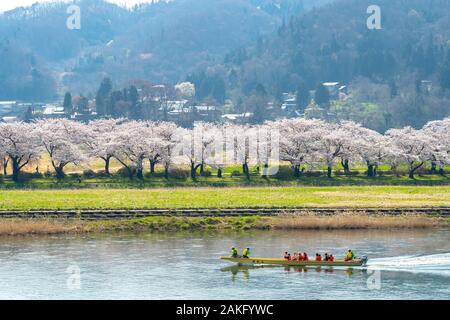 Ausflugsdampfer auf der Kitakami River. Tenshochi Park im Frühling sonnigen Tag morgen. Ländliche Szene mit Schönheit voller Blüte pink sakura Blumen Stockfoto