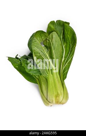Raw Shanghai Pak Choi Chinakohl Gemüse auf weißem Hintergrund Stockfoto