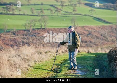 Ältere Paar in den 80ern Wandern auf Hawnby Hill, North Yorkshire. Stockfoto