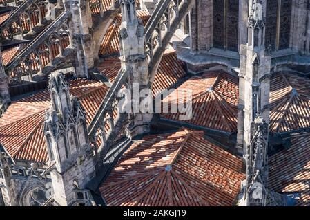 Frankreich, Gironde, Bordeaux, Blick aus dem Turm Pey-Berland auf den Dächern der neu restaurierten Saint Andre Cathedral, Stockfoto