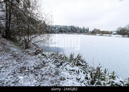Teich bedeckt mit Frost am Pinienwald im Winter mit Schnee. Erster Schnee im Herbst. Schneefall. Stockfoto