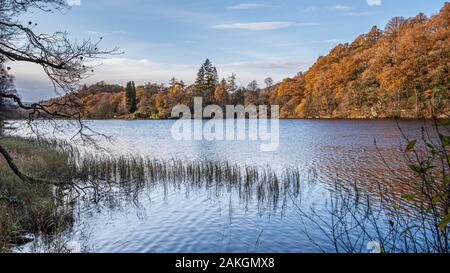Loch Ard in die Trossachs National Park, Schottland in herbstlichen Farben Stockfoto