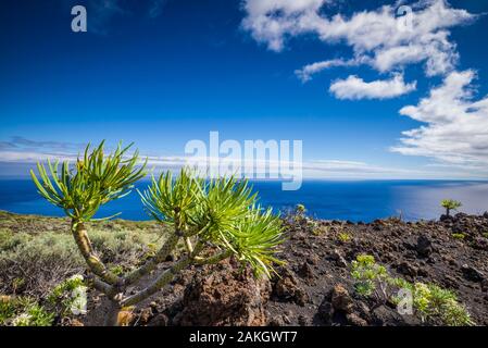 Spanien, Kanarische Inseln, La Palma, Fuencaliente de La Palma, Punta de Fuencaliente, vulkanische Landschaft und Aussicht auf die Insel La Gomera Stockfoto