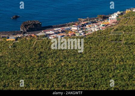 Spanien, Kanarische Inseln, La Palma, La Bombilla, erhöhte viallge Ansicht mit Bananen Plantage Stockfoto