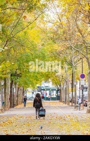 Frankreich, Paris, Rue de Charonne, die Allee im Herbst Stockfoto