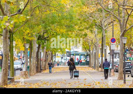 Frankreich, Paris, Rue de Charonne, die Allee im Herbst Stockfoto