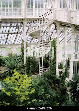 Schmiedeeiserne Wendeltreppe in den Gemäßigten Haus, Kew Royal Britanic Gärten Stockfoto