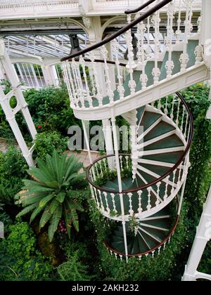 Schmiedeeiserne Wendeltreppe in den Gemäßigten Haus, Kew Royal Britanic Gärten Stockfoto