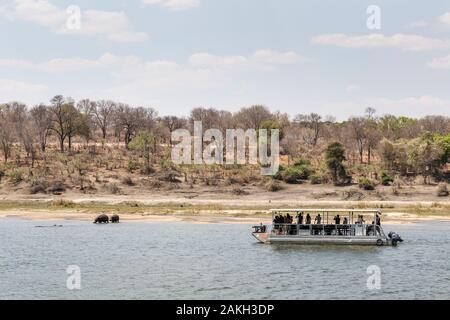 Namibia, Caprivi Provinz, Bwabwata National Park, Touristen Boot auf dem Okavango Fluss Flusspferde beobachten Stockfoto