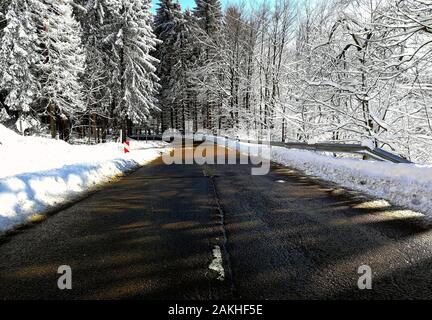 Winterstraße, während des Winterfrosts Bäume unter Schnee Stockfoto