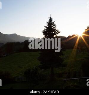 Sunshine platzt im Salzachtal in St. Veit im Pongau, Österreich. Eine Tanne steht in semi-Silhouette in den Vordergrund. Stockfoto