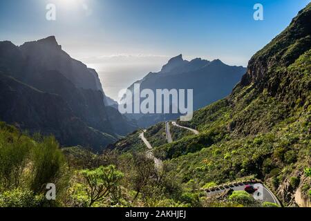 Spanien, Teneriffa, Verdrehen abenteuerliche Mountain Road neben grünen Berge von Cactus und Aloe vera, die Masca Schlucht zu Berg vi Stockfoto