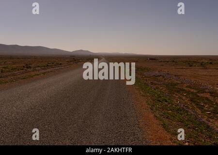 Eine gerade Straße im Süden in der Nähe von Sidi Ifni, Marokko. Die Straße zum Horizont führt. Stockfoto